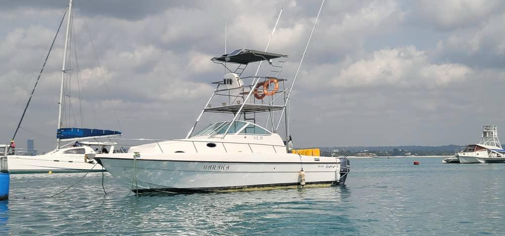 Gulf 36ft - 36ft/11m - Yacht