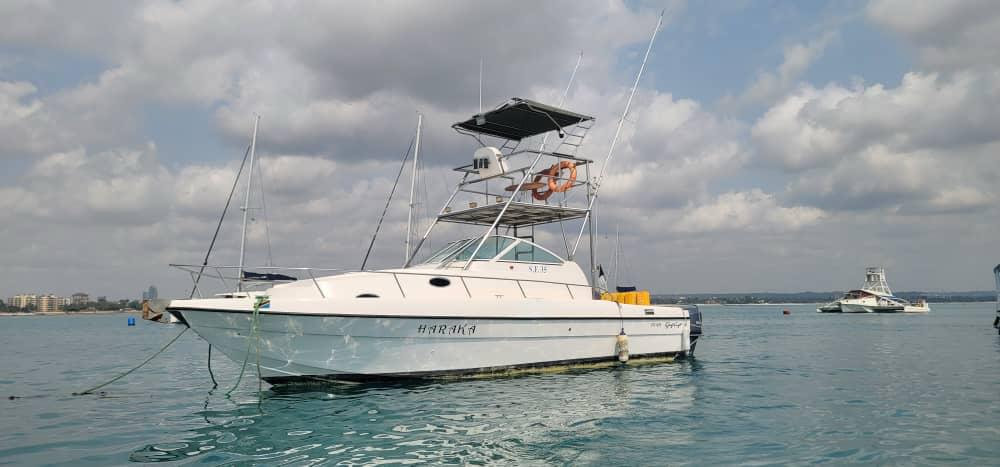 Gulf 36ft - 36ft/11m - Yacht